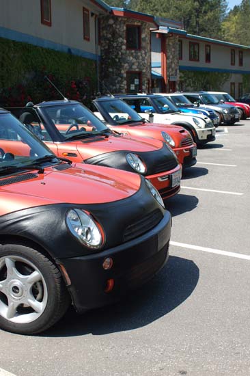 Mini Mania